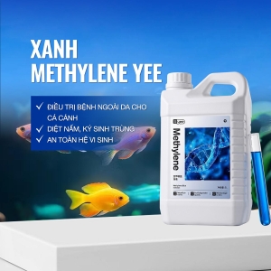 Can Lớn 5 Lít Xanh Methylene YEE Siêu Đậm Đặc  | Chữa Nấm Trắng, Thối Vây Cá Cảnh, Khử Khuẩn Hồ Cá Thủy Sinh.