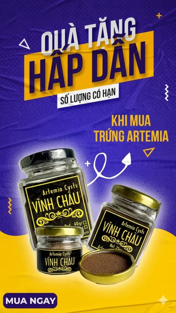 Nhật Anh AQUA