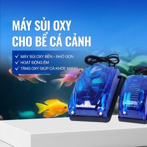 Máy Sủi Oxy Cho Bể Cá Cảnh Quanlong | Máy Tạo Oxy Cá Cảnh Giúp Cá Khỏe Hồ Cá Luôn Đủ Oxy.