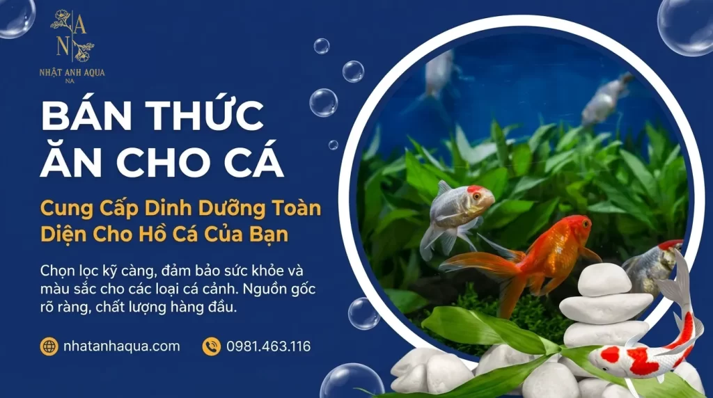 Nhật Anh AQUA