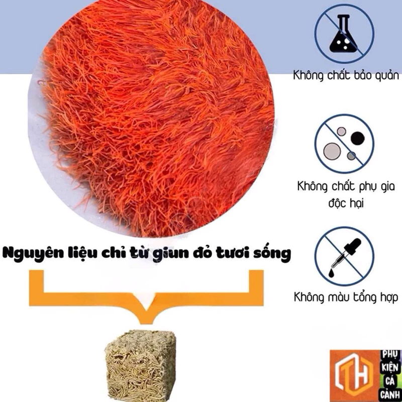 Trùng chỉ đông khô độ đạm 52% - thức ăn cao cấp giúp cá phát triển toàn diện, lọ 100ml - Ảnh 3