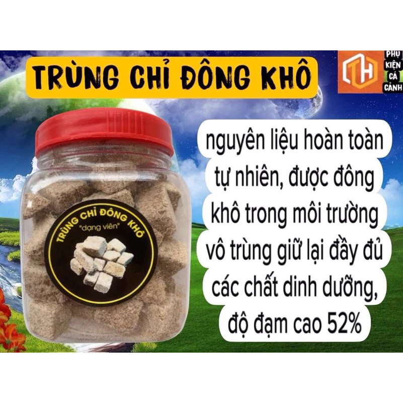 Trùng chỉ đông khô độ đạm 52% - thức ăn cao cấp giúp cá phát triển toàn diện, lọ 100ml - Ảnh 5