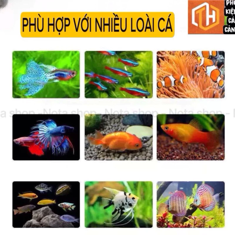 Trùng chỉ đông khô độ đạm 52% - thức ăn cao cấp giúp cá phát triển toàn diện, lọ 100ml - Ảnh 4