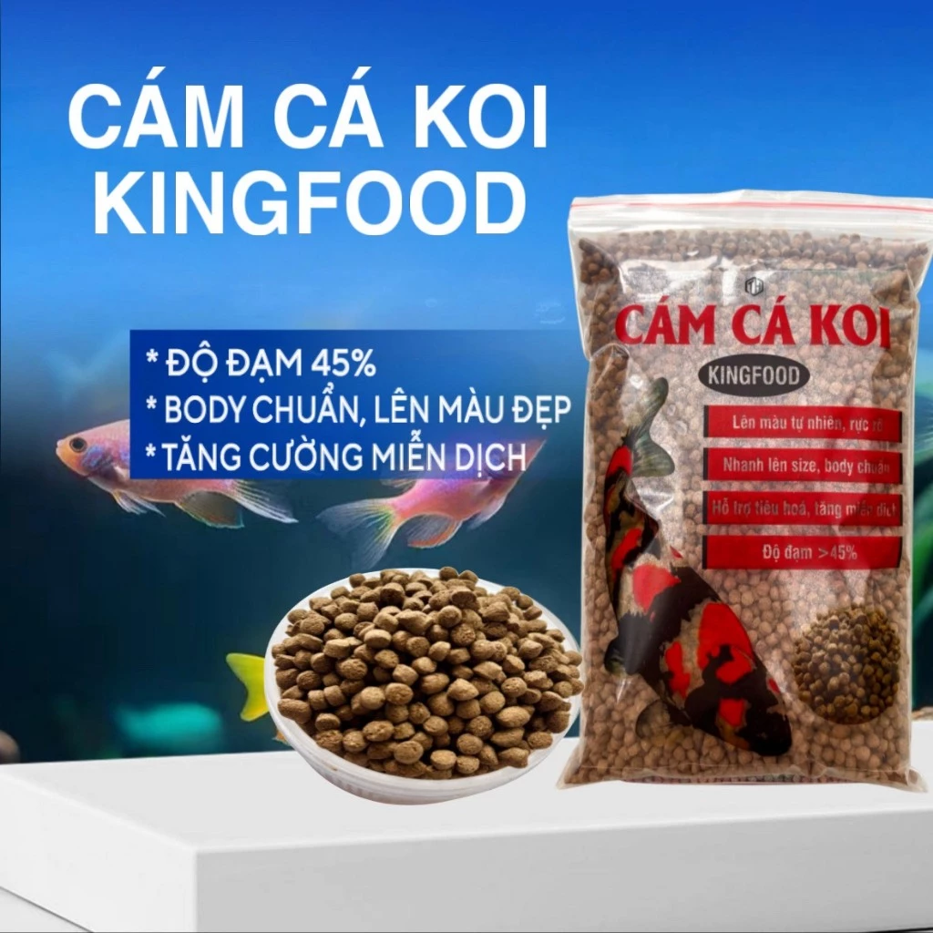 Cám Cá Koi KingFood siêu tăng trưởng, tăng màu, body chuẩn, 45% độ đạm Size 3-6mm.