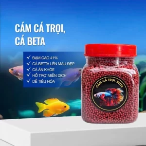 CÁM CÁ TRỌI - BETA nhập khẩu thái lan hàm lượng dinh dưỡng cao giúp cá tăng size lên màu đẹp