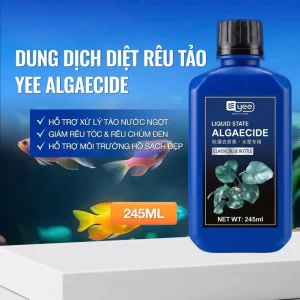 Dung dịch diệt rêu tảo + Methylene + Khử Clo (Yee)-chuyên dùng cho bể cá cảnh.